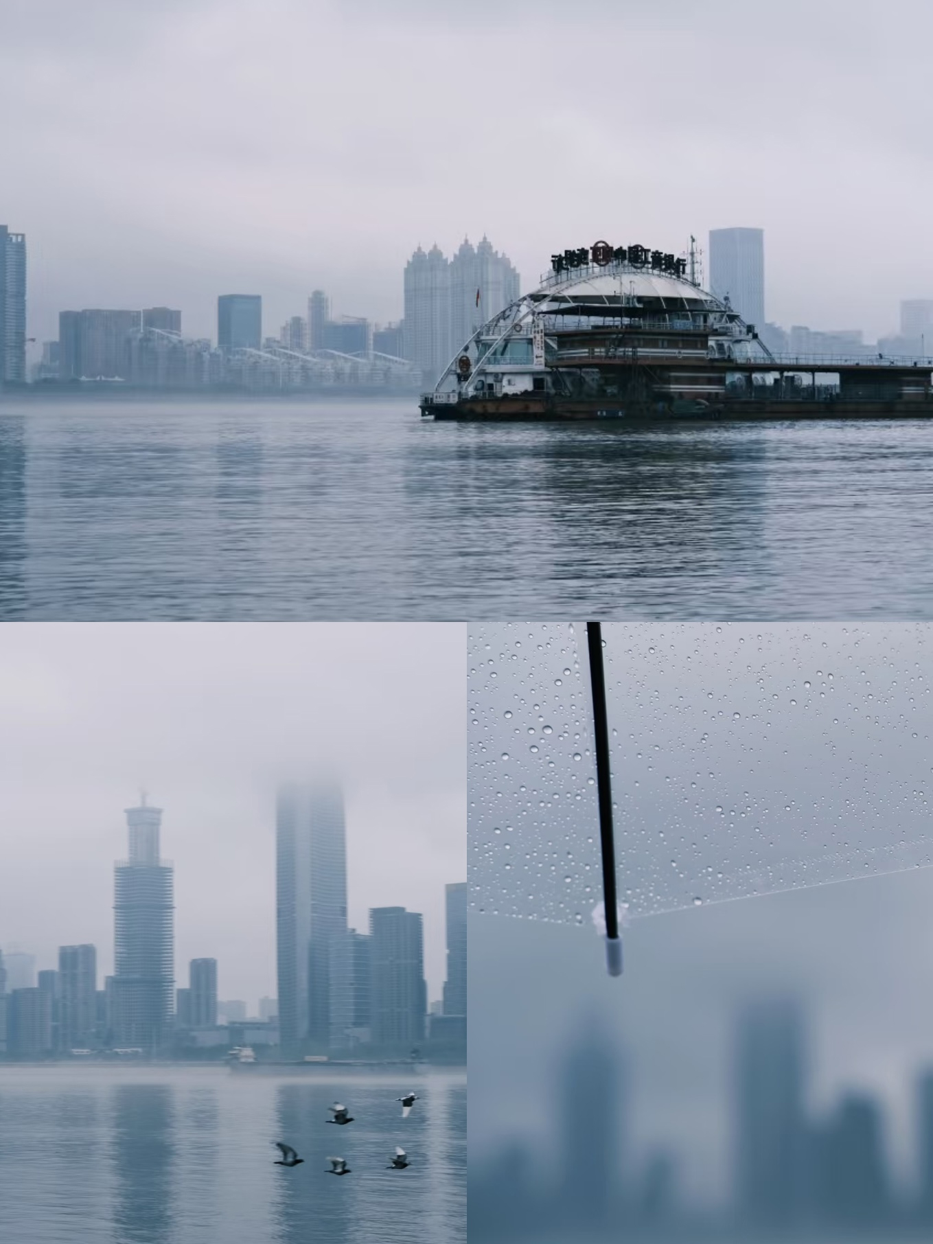 草莓视频官方网站下载武汉办事处：江滩踏春徒步，凝聚团队力量